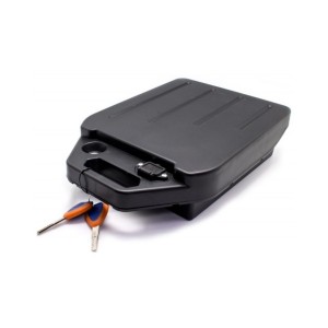 Elektrinio motorolerio paspirtuko Citycoco ličio baterija 12Ah 60V